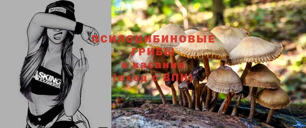 прущие крисы Кинешма