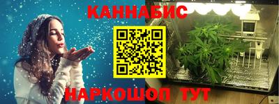 ГАЛЛЮЦИНОГЕННЫЕ ГРИБЫ Кингисепп
