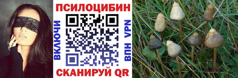 ссылка на мегу ссылки  Можга  Галлюциногенные грибы мицелий  цены наркотик 