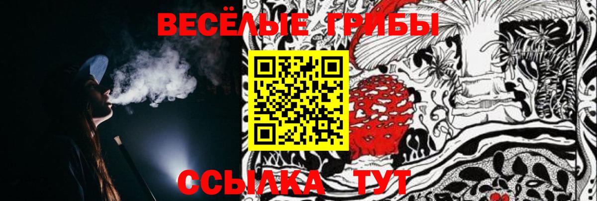 магазин продажи   Вход с VPN  Можга  Галлюциногенные грибы мицелий 