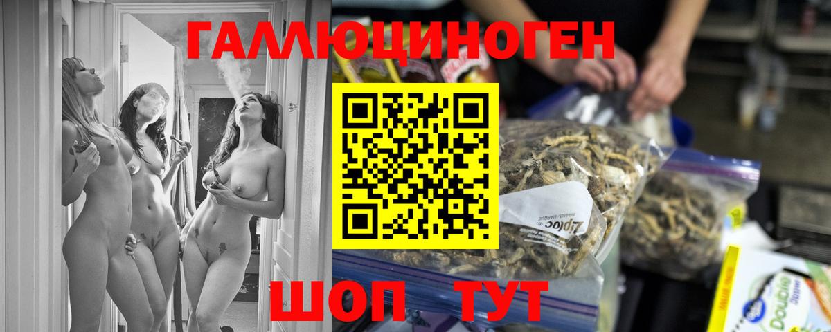 Псилоцибиновые грибы MAGIC MUSHROOMS  Можга 