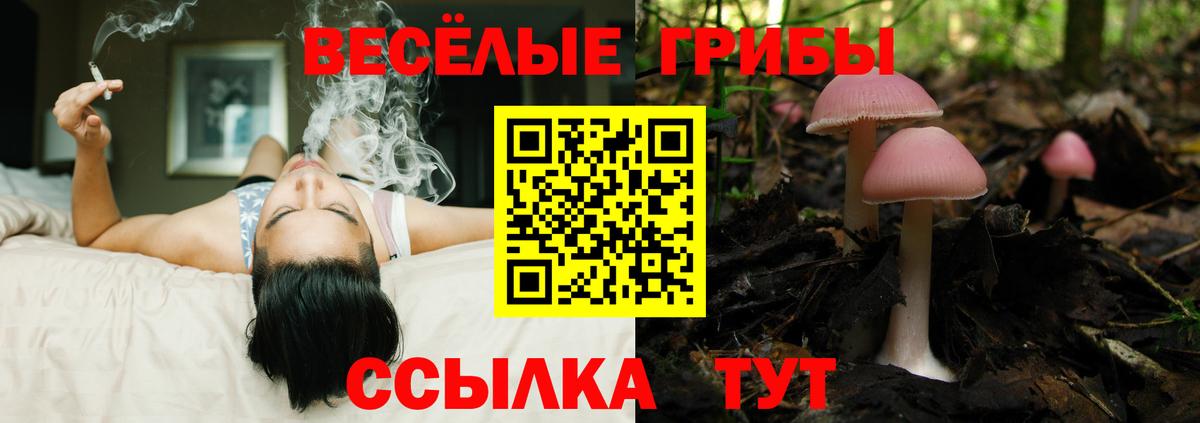 Галлюциногенные грибы мицелий Можга